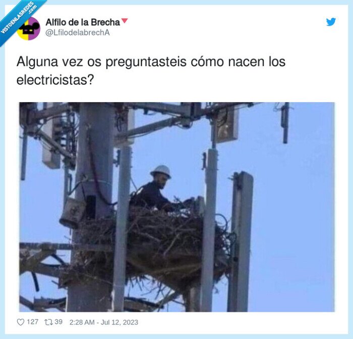 electricistas,preguntarse,cómo,nacer