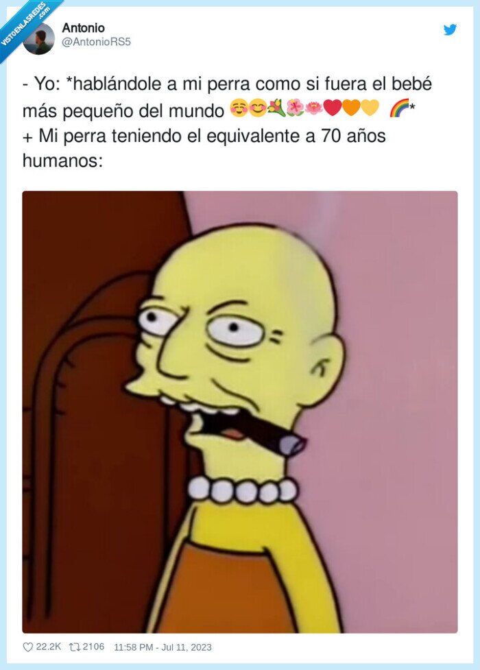 hablándole,equivalente,pequeño,perro,voz,humanos
