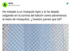 Enlace a Como venga la familia entera te vas a enterar, por @acidoenlared