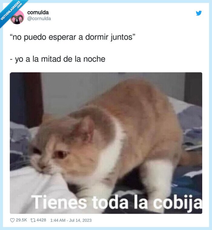 juntos,cobija,coger,dormir