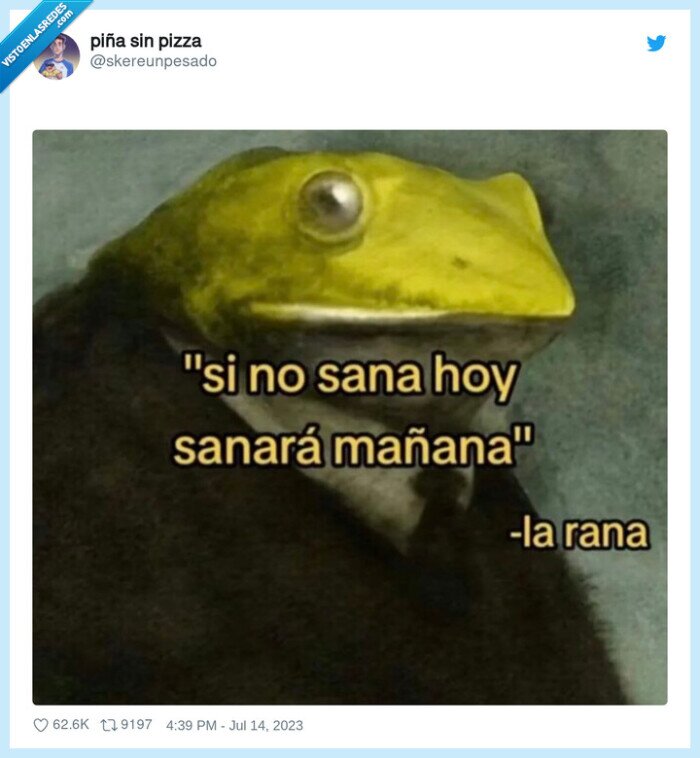 sanar,rana,ranita,hoy,mañana