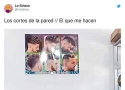 Enlace a Aunque la mona se vista de seda, por @notafaso