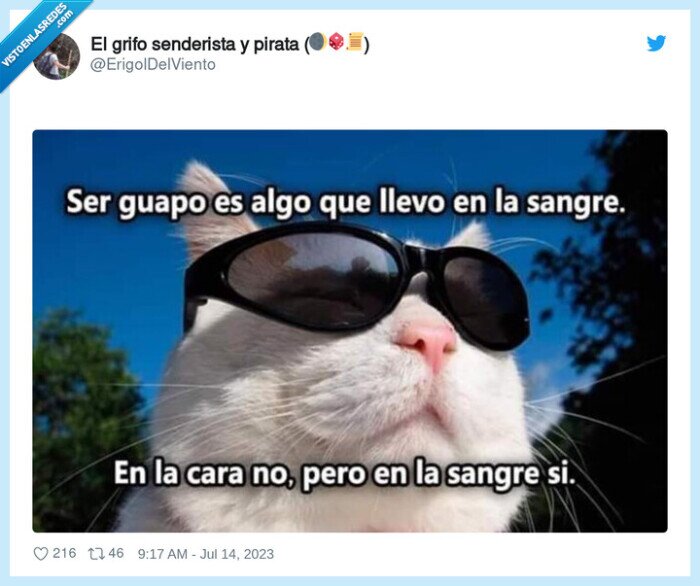 sangre,guapo,cara