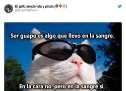 Enlace a Todo es actitud, por @ErigolDelViento