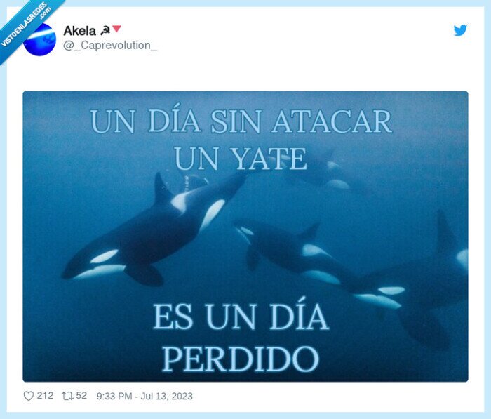 gladis,orca,yates,atacar