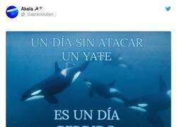 Enlace a Gladis dixit, por @_Caprevolution_