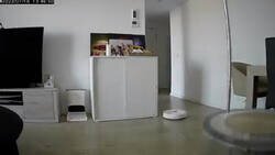 Enlace a Ojo con el futuro, esto es lo que puede pasar si tienes roombas y otros electrodomésticos inteligentes