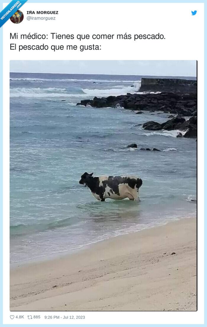 médico,pescado,vaca,mar,comer,gusta,carne