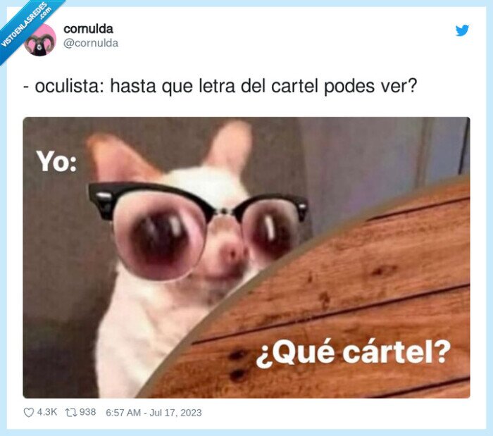 oculista,cartel,ver,letra