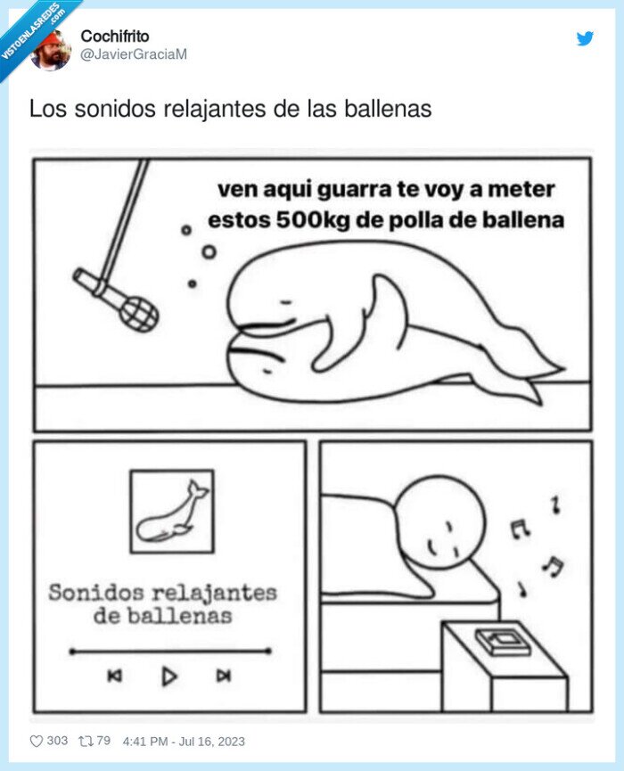 relajantes,ballenas,sonidos