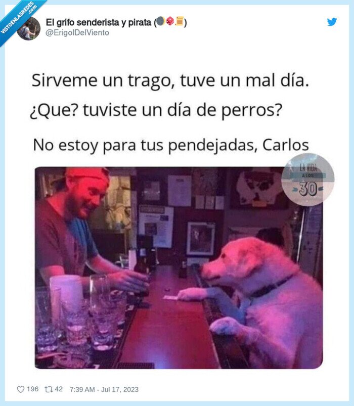 perros,dia,mal dia