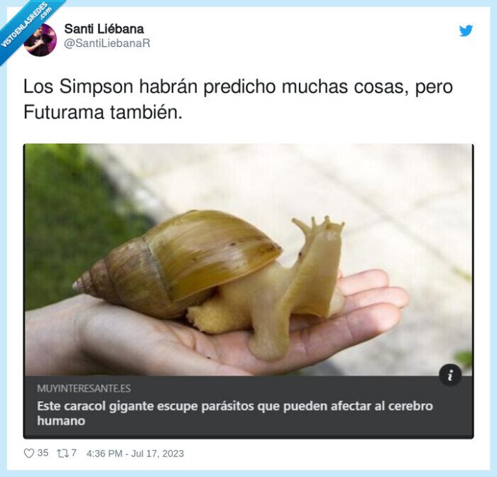 predicho,futurama,simpson,caracol,medusa,gigante