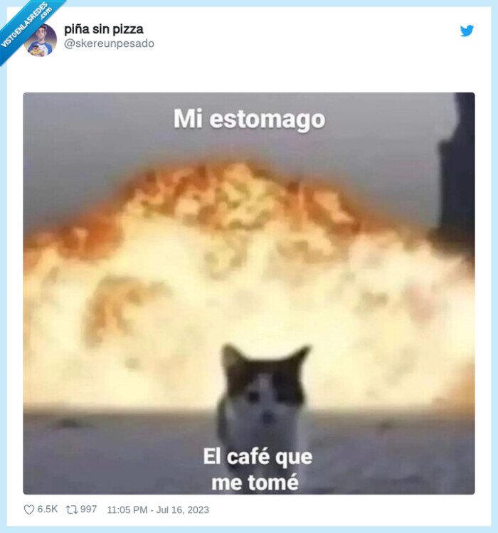 cafe,tomar,estomago,gato,fuego