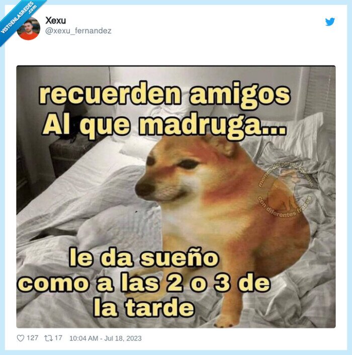 madrugar,ayudar,sueño