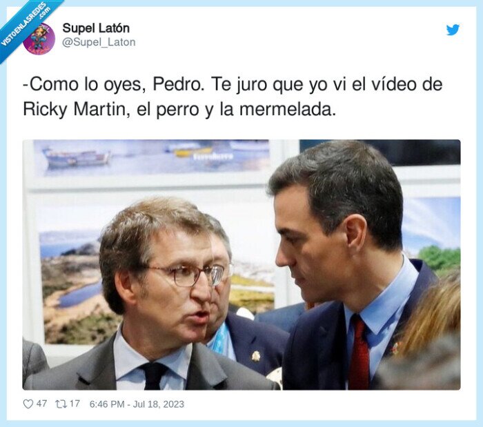 mermelada,ricky martin,vídeo,mentira,perro