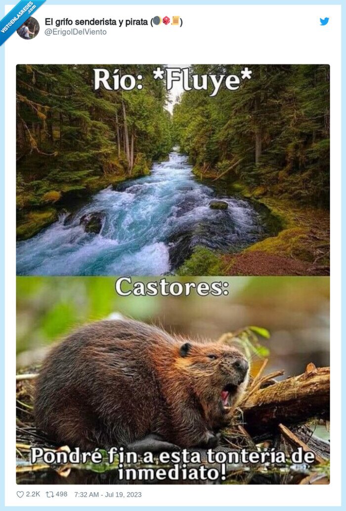 castores,rio,destrozar,corriente