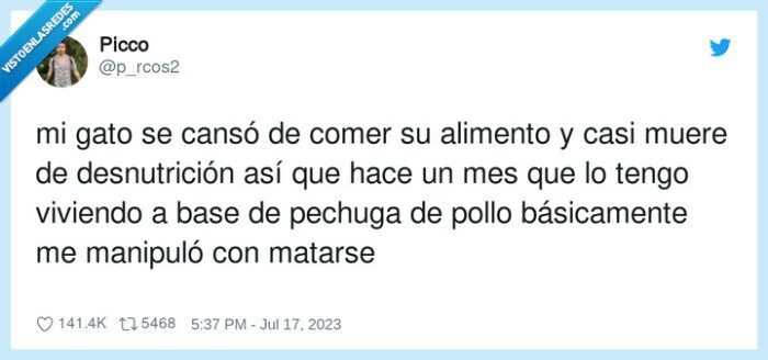 desnutrición,gato,manipular,alimento,matarse