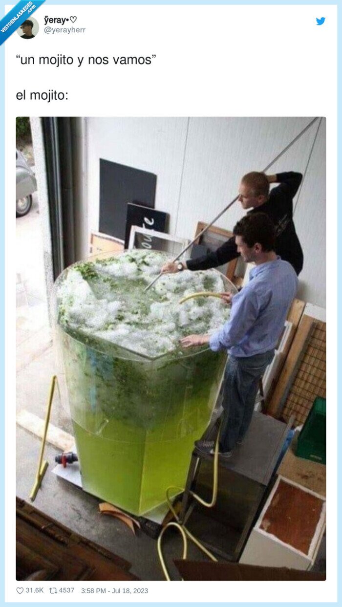 mojito,bebida,grande,recipiente