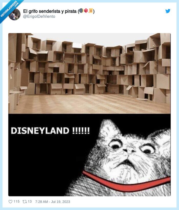 disneyland,gato,cajas