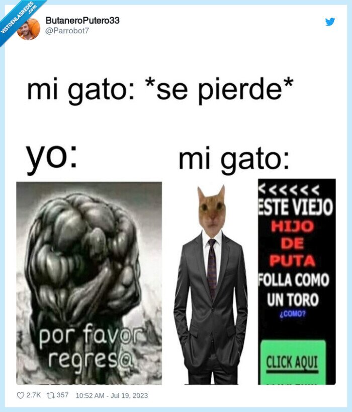 gato,escaparse,foIIar,perderse