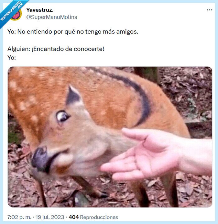 amigos,tener,conocer