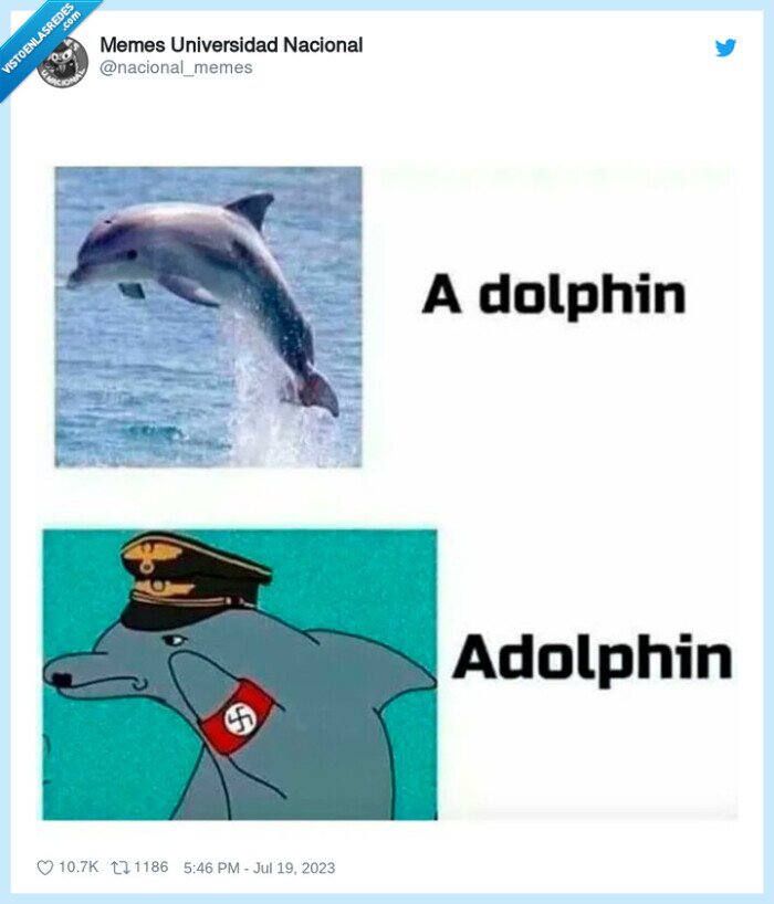 delfin,dolphin,adolf