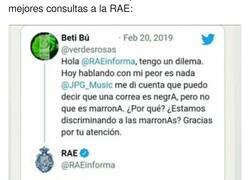 Enlace a Las mejores consultas a la RAE puede que sea de lo que mejor que se haya visto en twitter