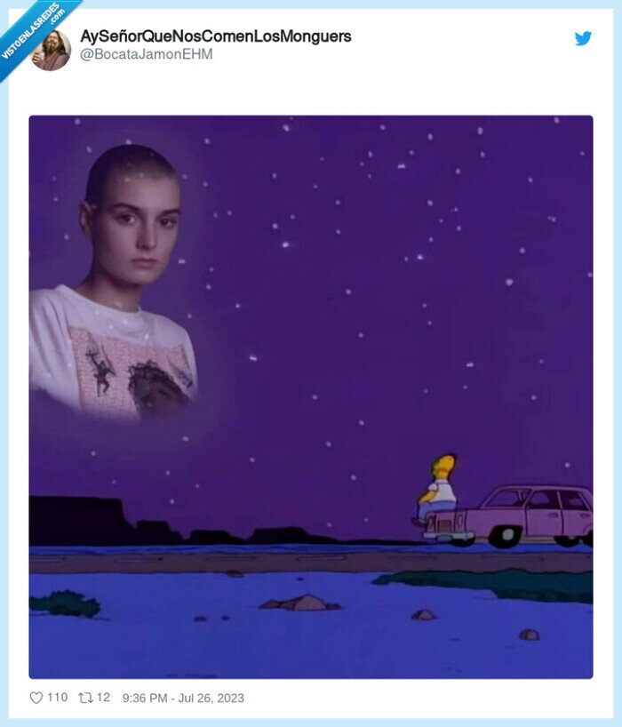 Sinéad O'Connor,dep,cantante,56 años