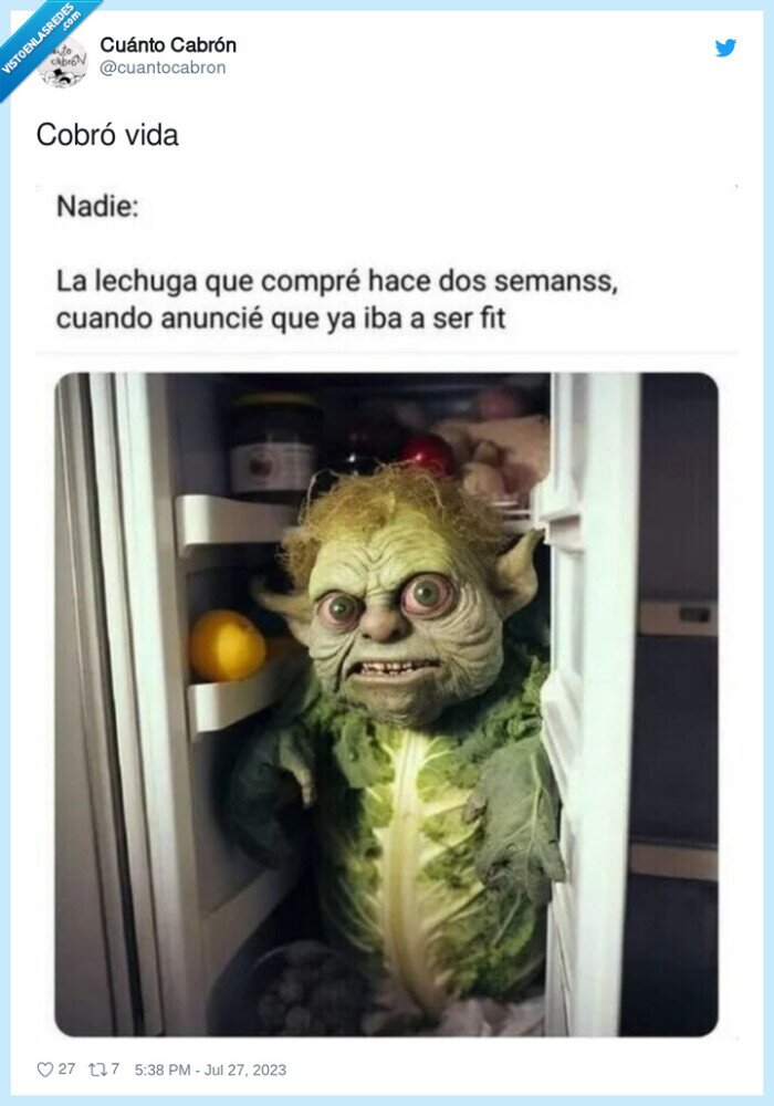 lechuga,nevera,fit