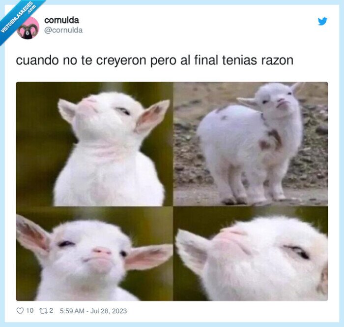 creer,razón,cabrita