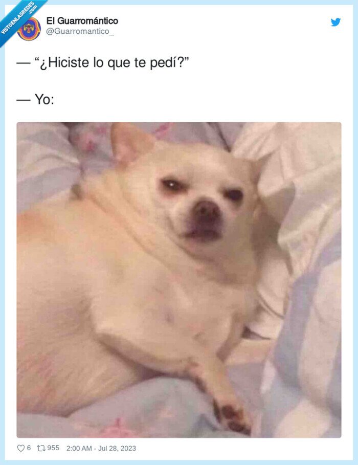 recordar,pedir,favor,perro