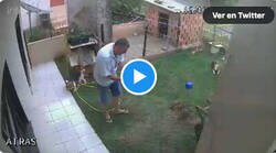 Enlace a Harto de los insectos de su jardín, decide utilizar materiales inflamables y pasa esto