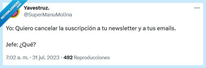 cancelar,suscripción,newsletter,jefe