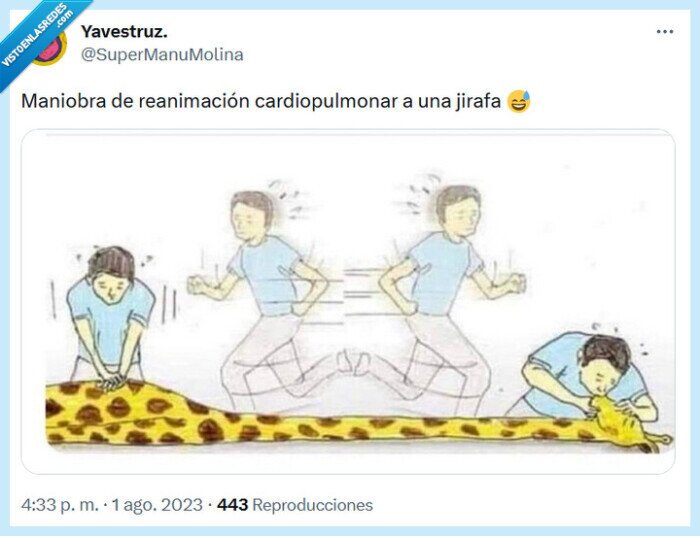 jirafa,maniobra,reanimación