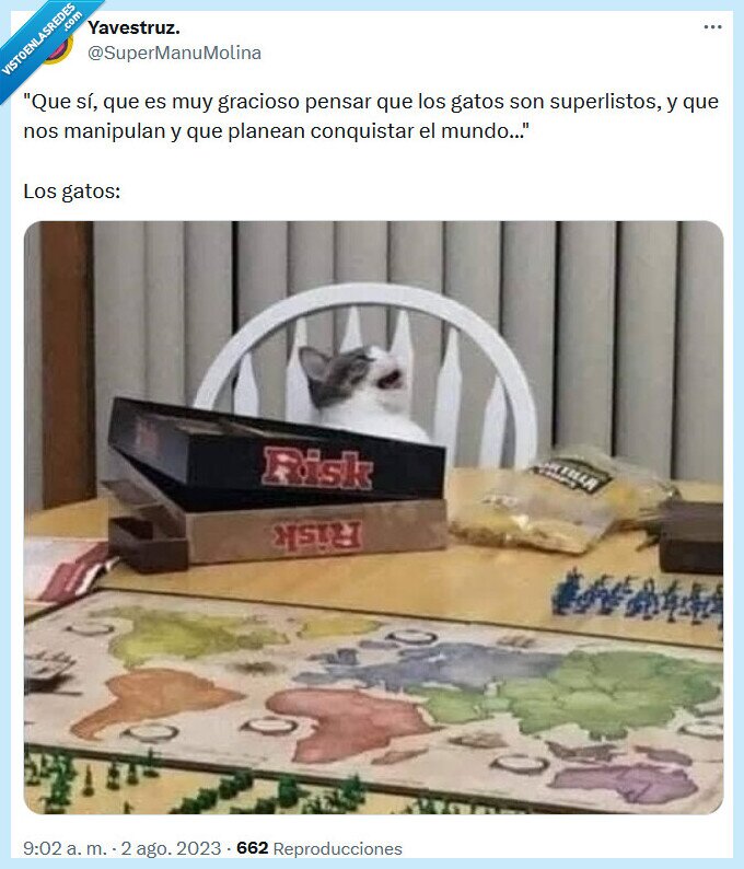 conquistar,gato,mundo,risk