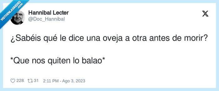 balao,oveja,antes,morir