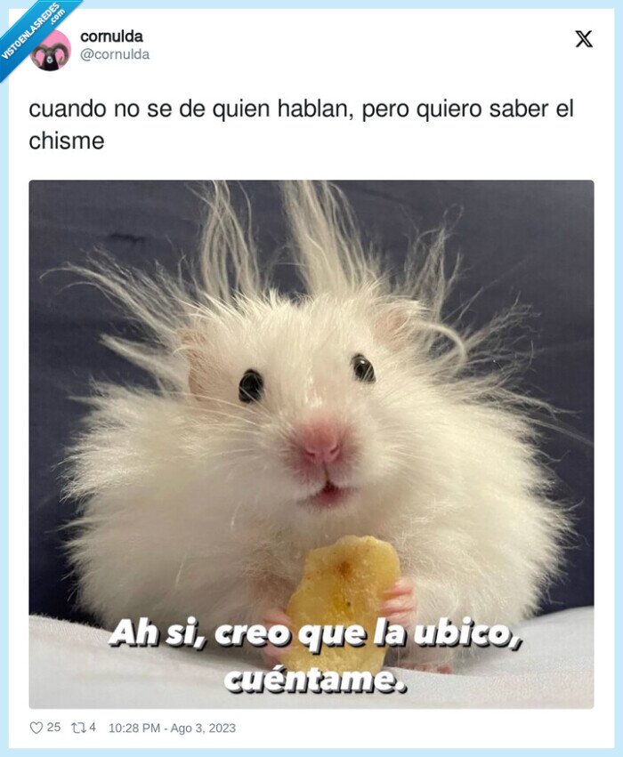 contar,esperando,chisme,saber