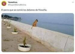 Enlace a Somos lo que comemos por @supermanumolina