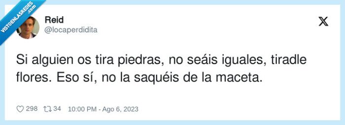 piedras,maceta,tirar,flores