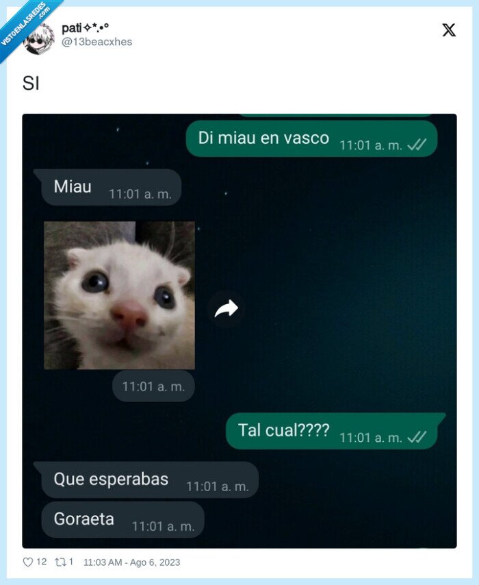 vasco,gato,miau