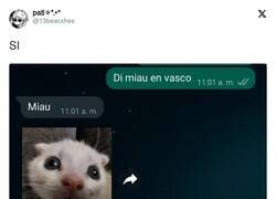 Enlace a Me ha sorprendido, por @13beacxhes