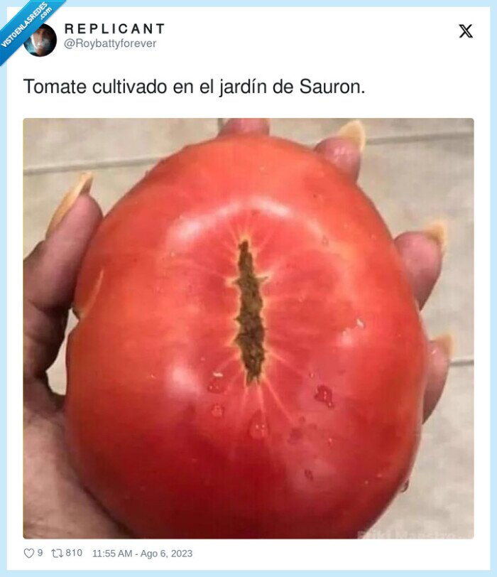 cultivado,jardín,tomate,sauron