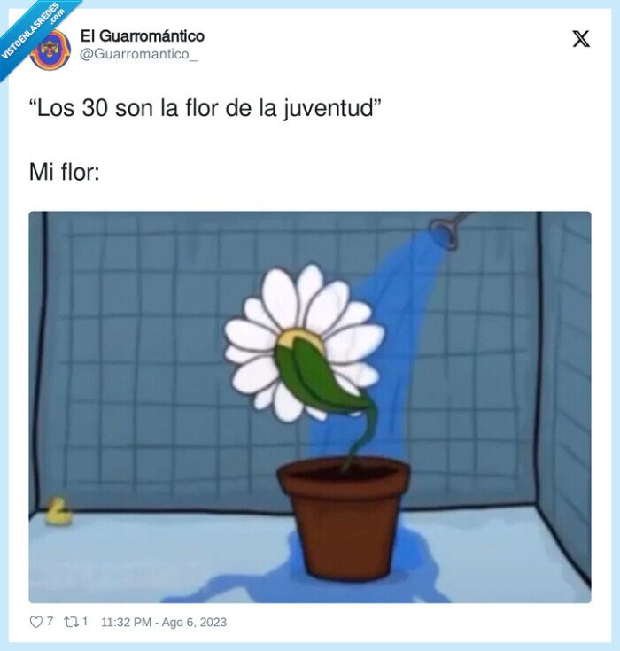 juventud,30,flor