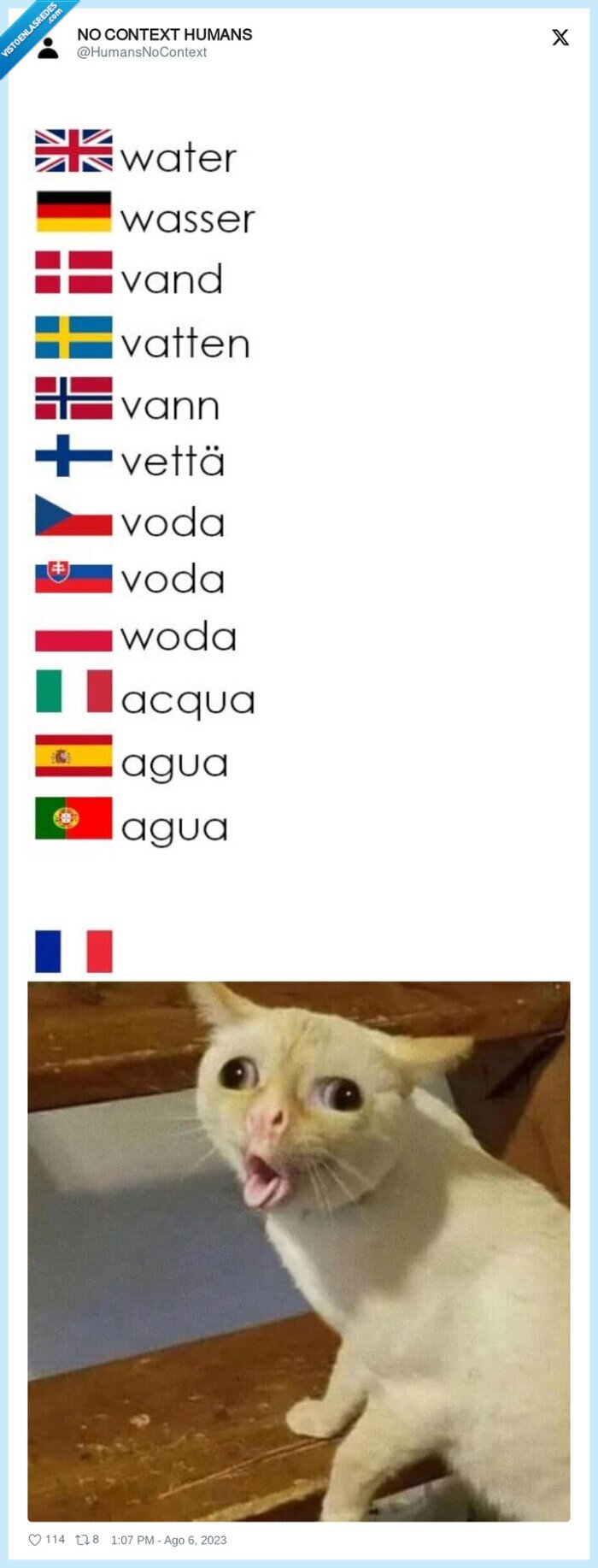 gatos,agua,traduccion,frances