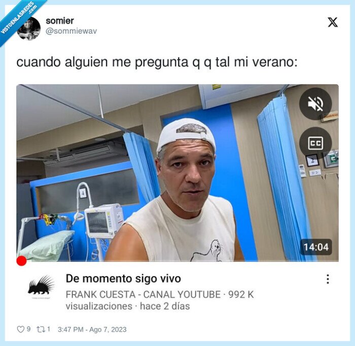 pregunta,frank de la jungla,verano