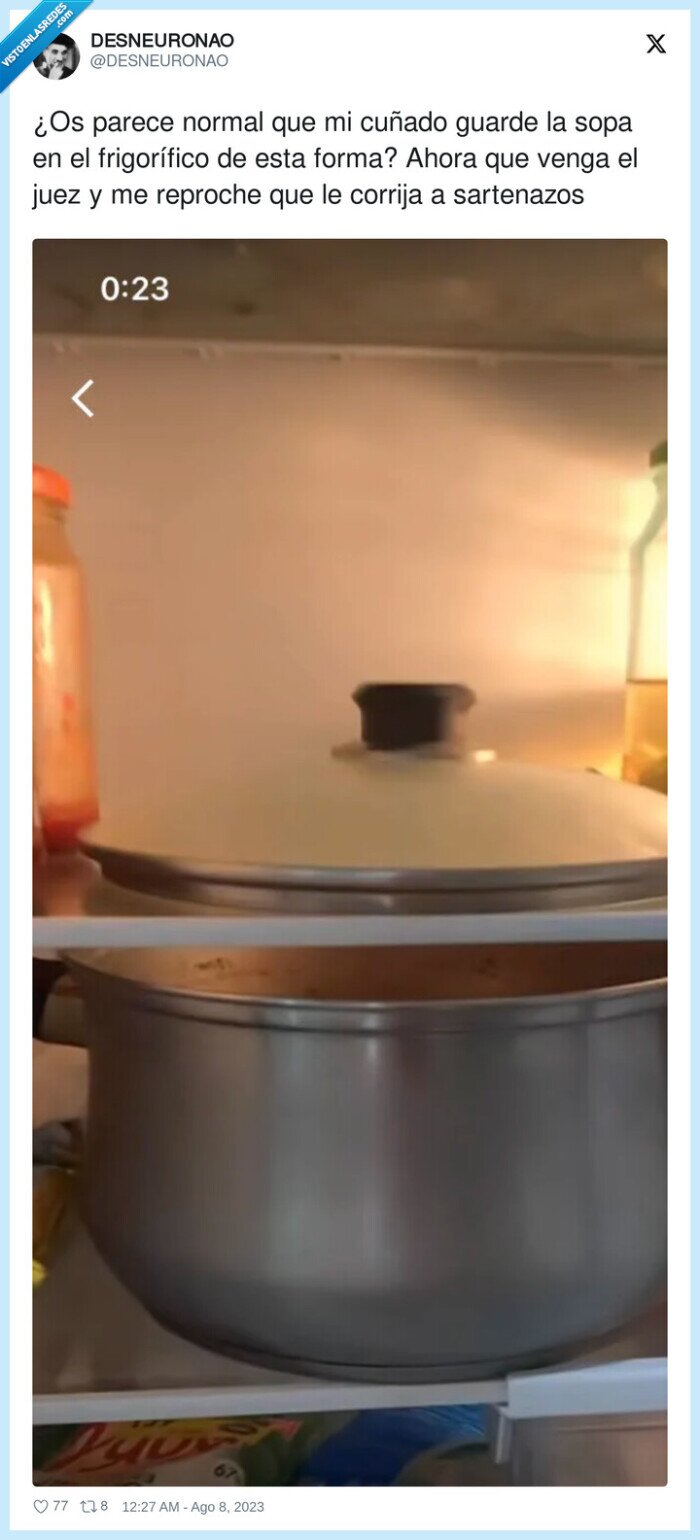 frigorífico,sartenazos,nevera,olla,guardar