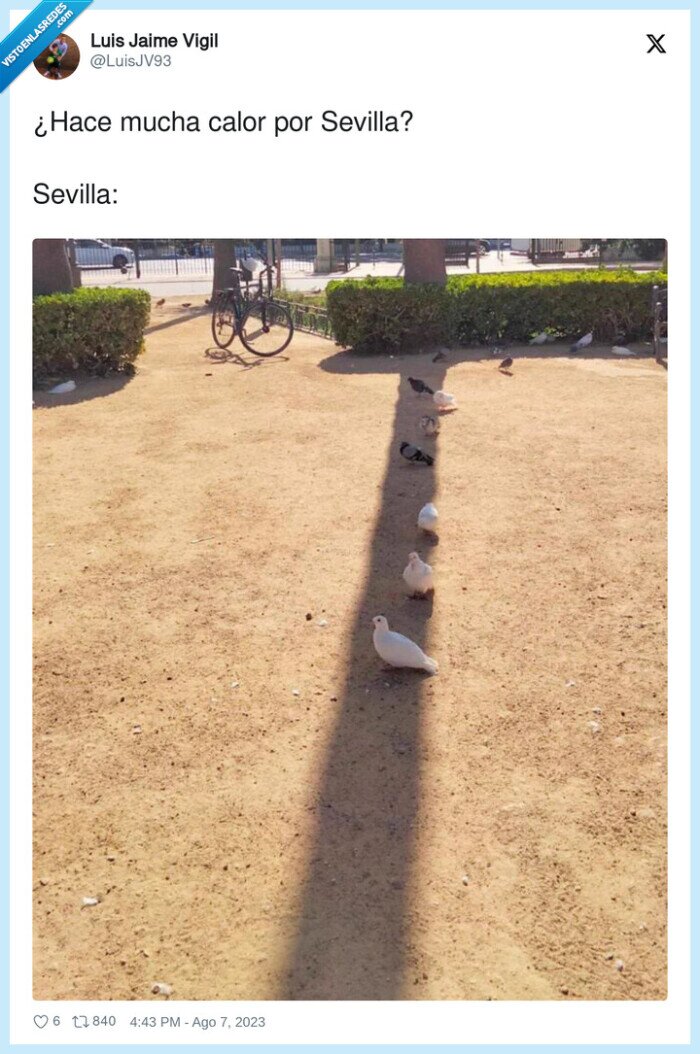 sevilla,mucha,calor,palomas,sombra