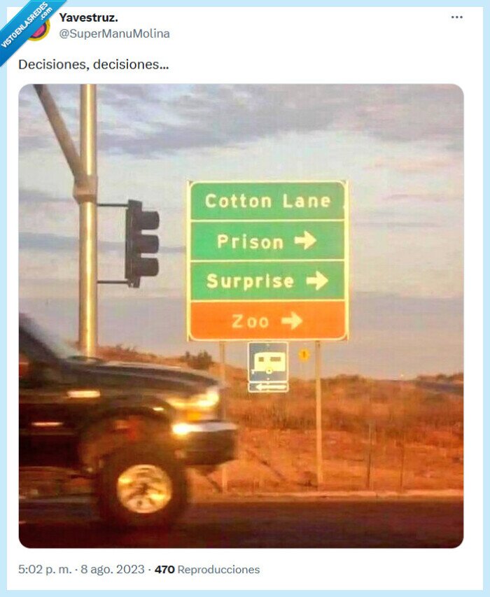 decisiones,sorpresa,zoo,cárcel