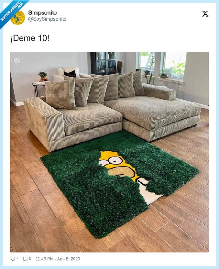 felpudo,homer