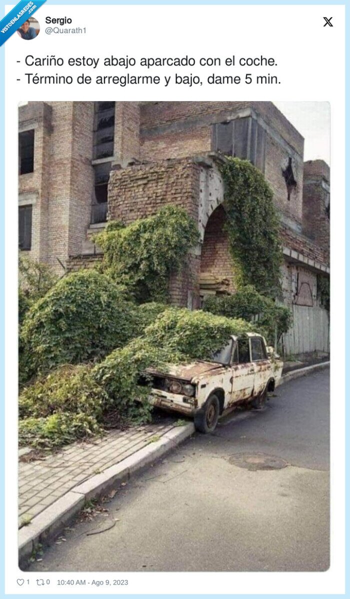 esperar,novia,musgo,vegetacion,coche